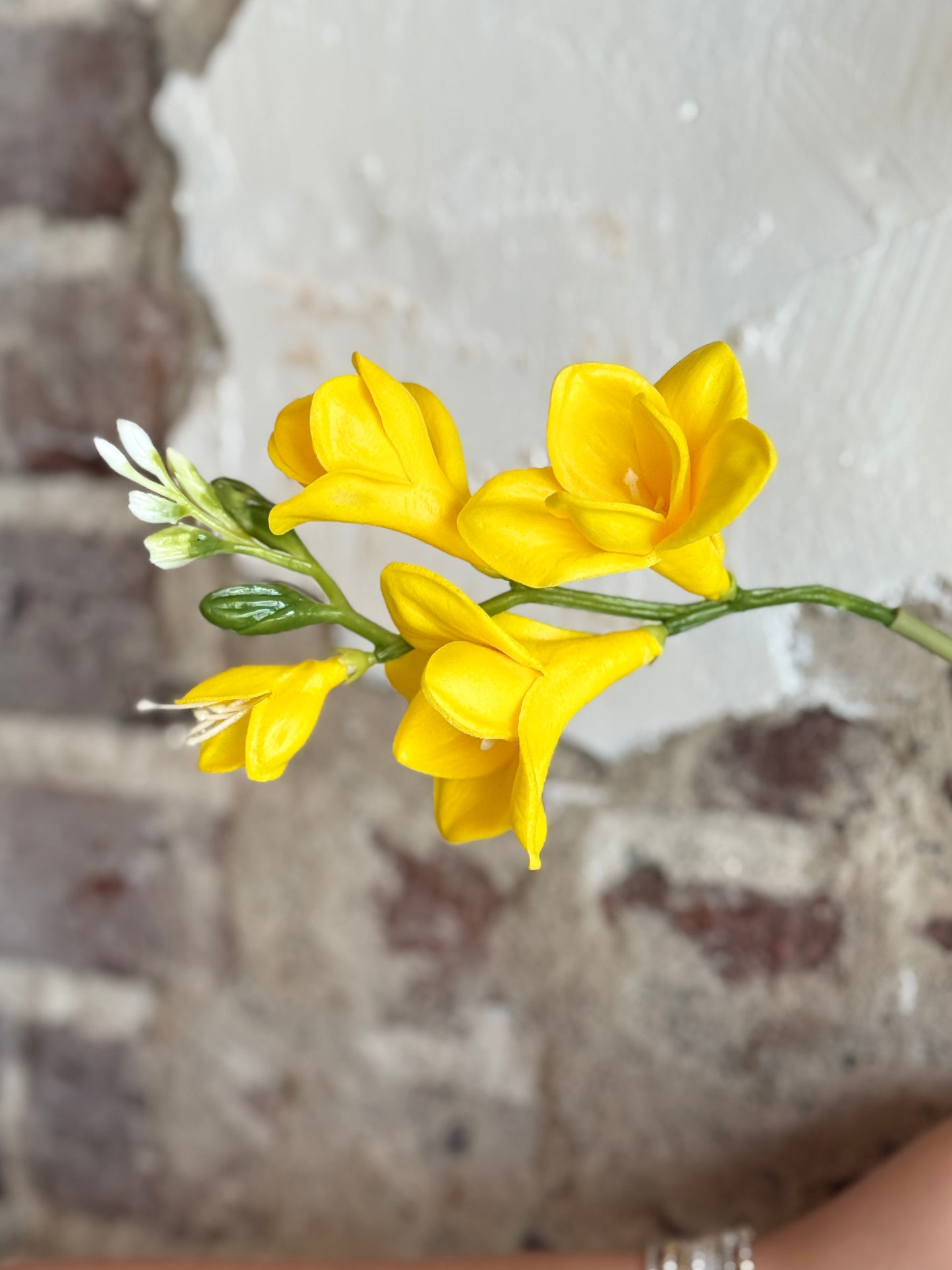 23" FREESIA SPRAY