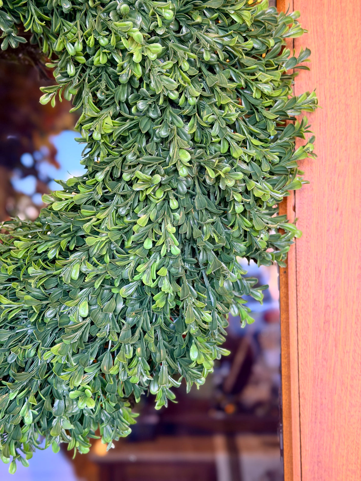 21" UV Treated Boxwood Wreath