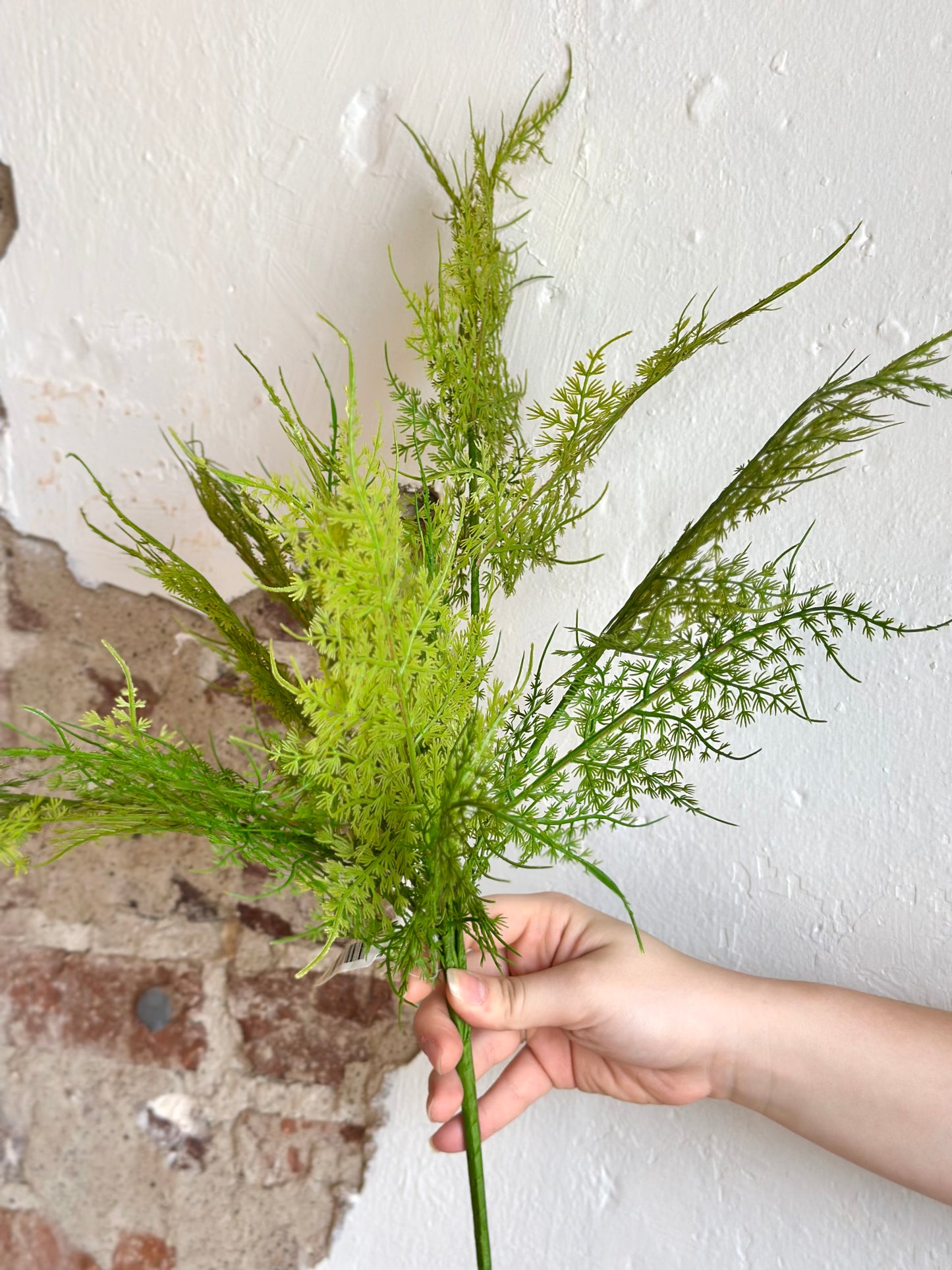 23” Asparagus Fern Bush