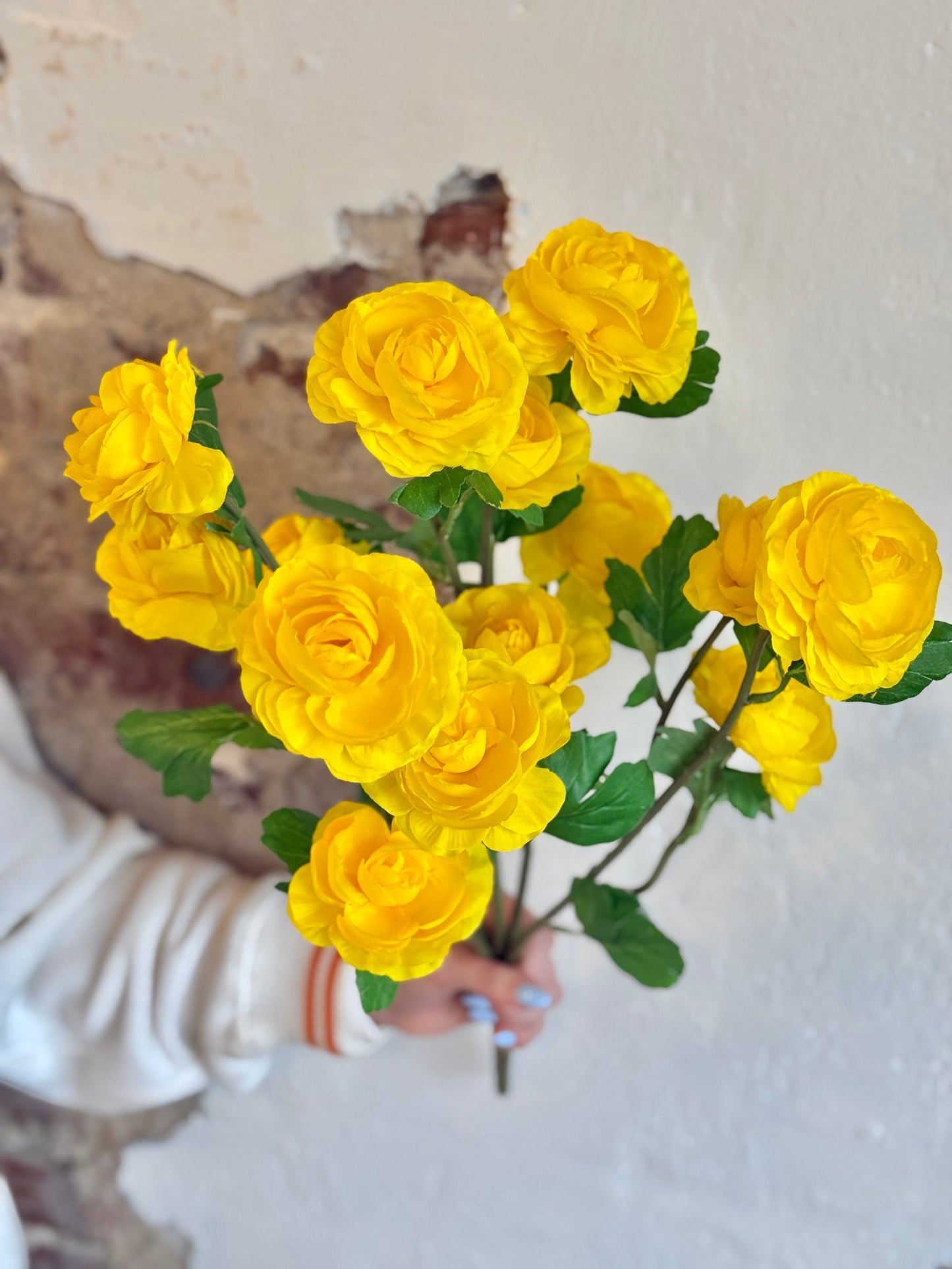 RANUNCULUS BUSH, 21.5", YELLOW/GOLD
