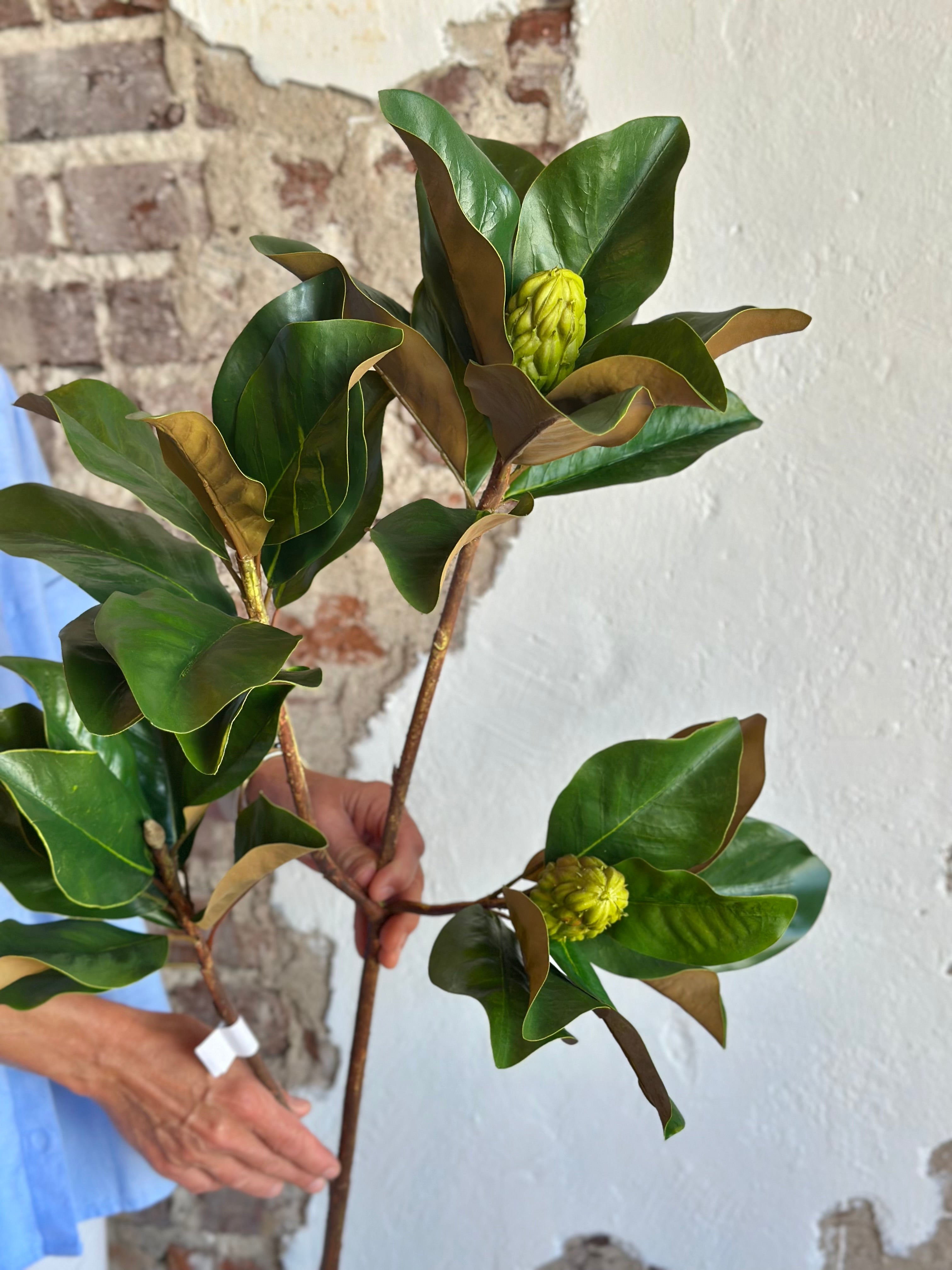 44” Grand Magnolia Leaf Branch with Pods