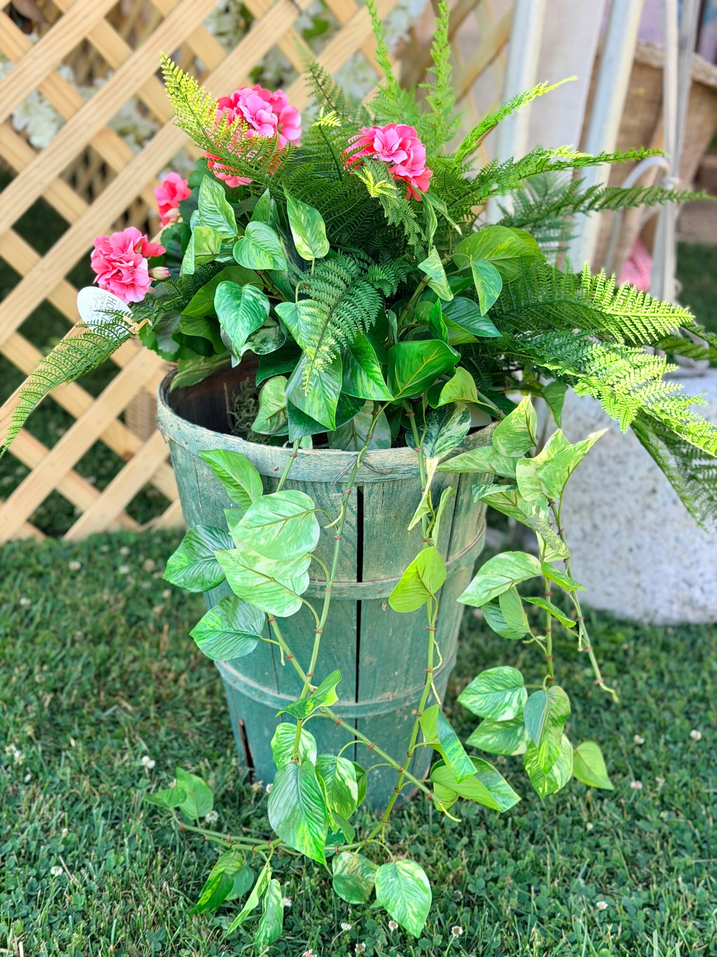 Pink Geraniums, Fern, and Ivy in Antique Green Basket