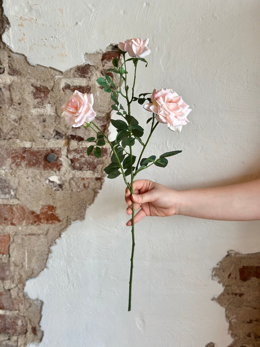 24" Curled Garden Rose