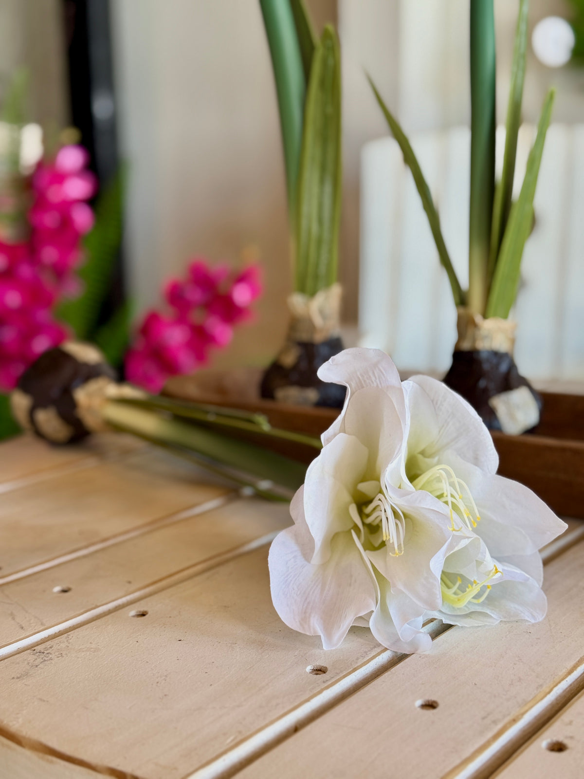 19" Real Touch White Amaryllis Bulb