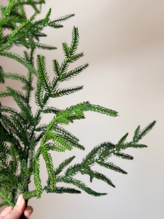 38" NATURAL TOUCH NORFOLK PINE SPRAY