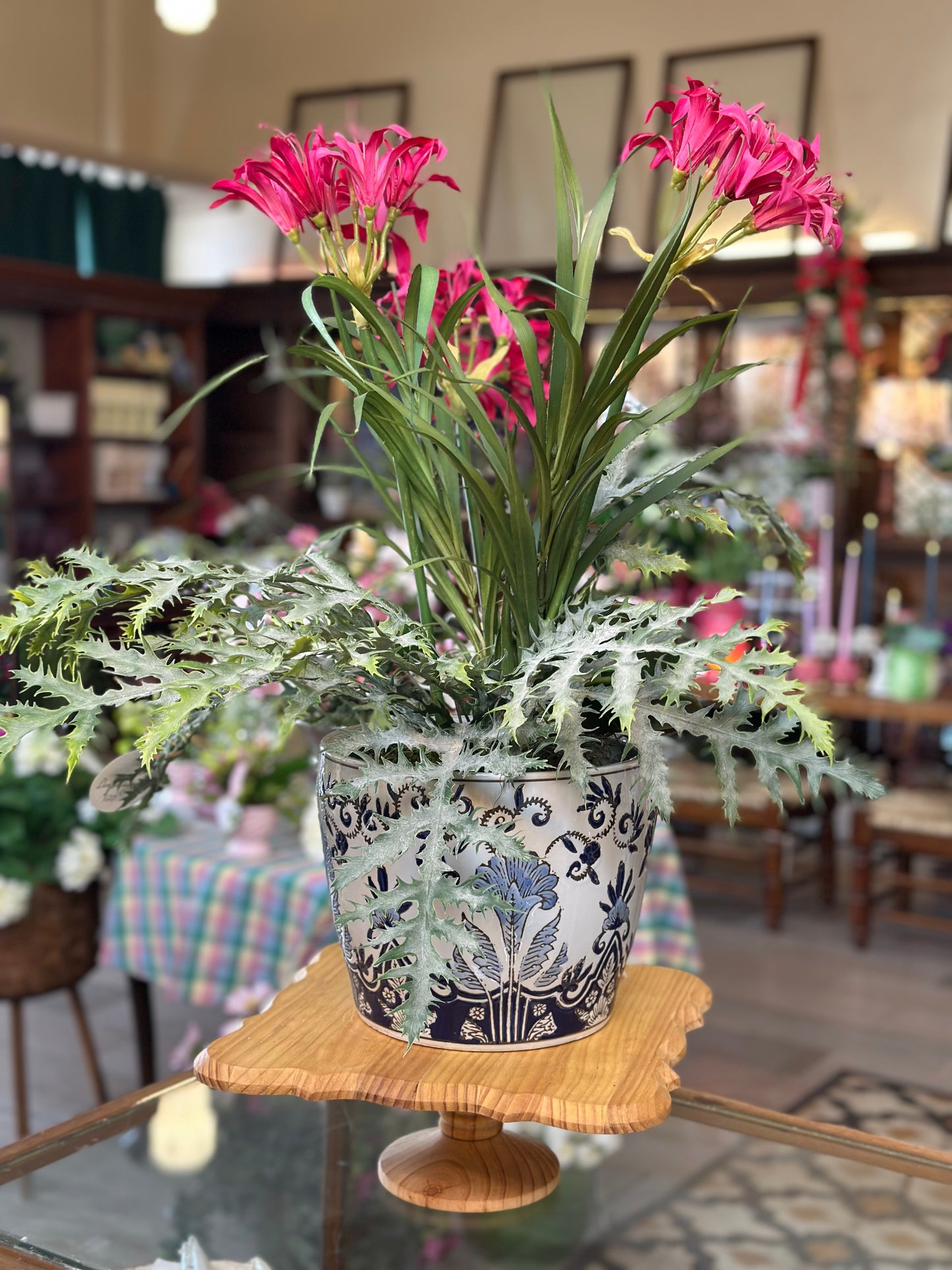 Succulent Garden in Porcelain Pot