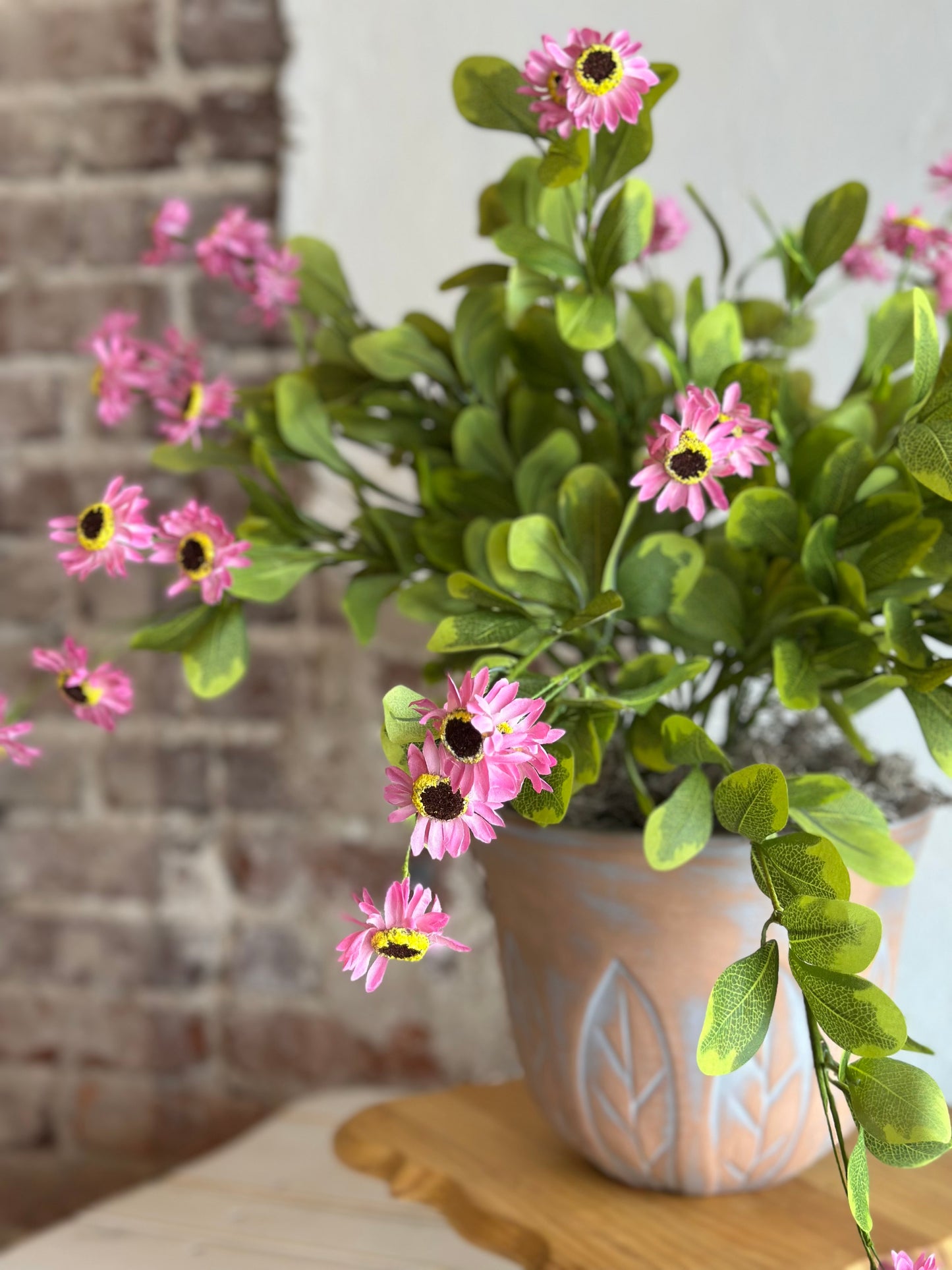 Potted Pink Daisies