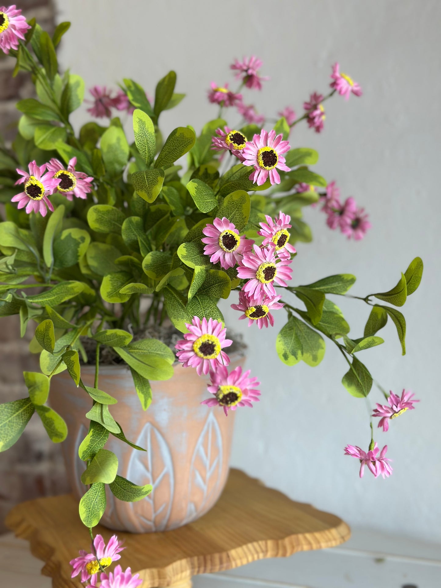 Potted Pink Daisies