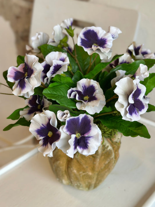 Purple Potted Pansies- Leaf Pot