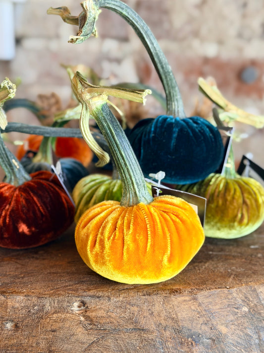 3" Velvet Pumpkin (Silk Options)