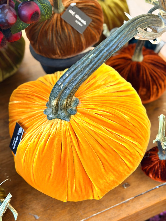 8" Carrot Silk Velvet Pumpkin