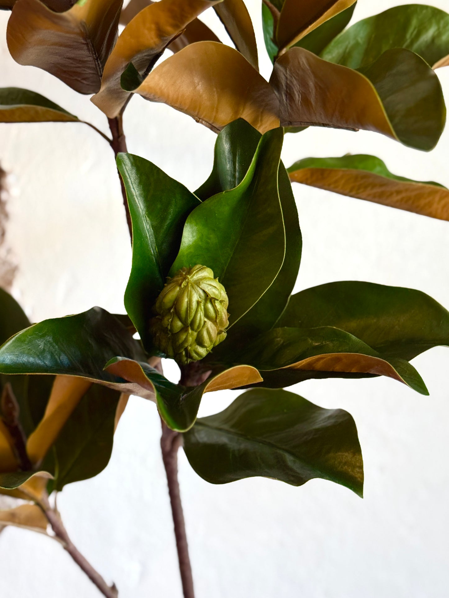 44” Grand Magnolia Leaf Branch with Pods