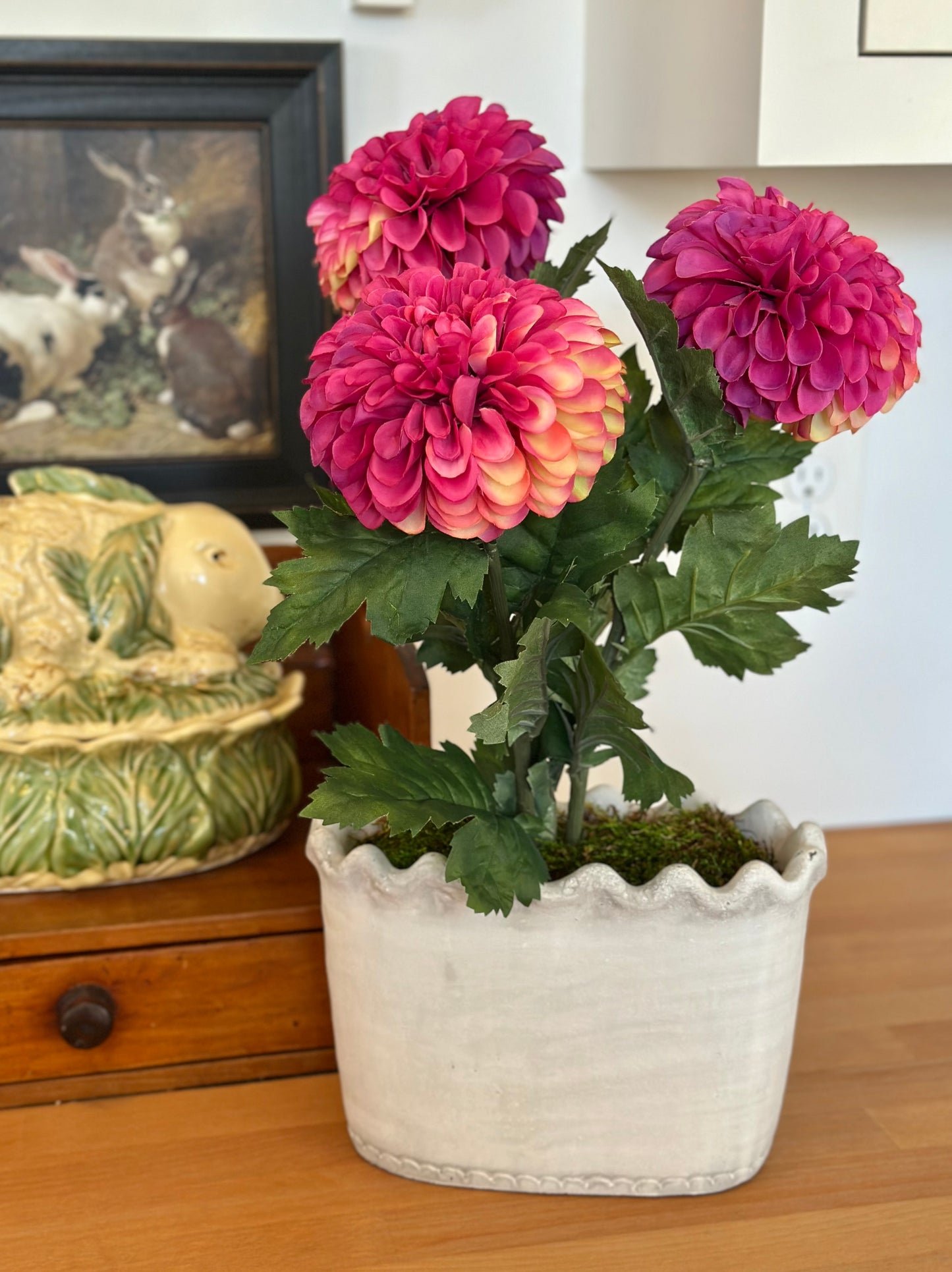 Potted Dahlia