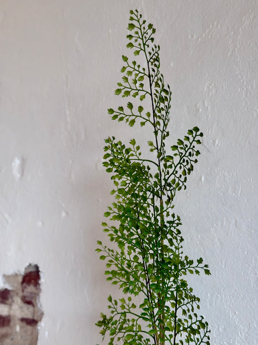 42" Maidenhair Fern Spray