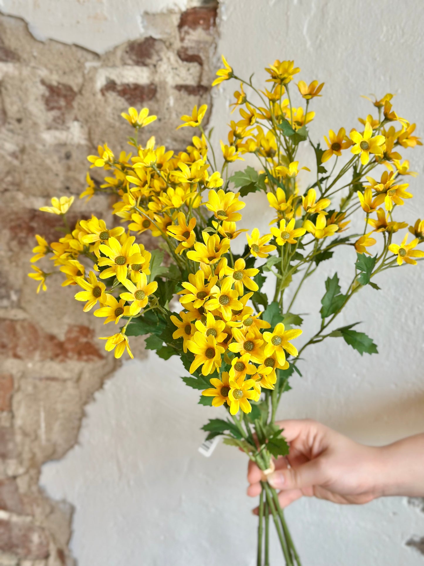 26” Mini Daisy Bundle