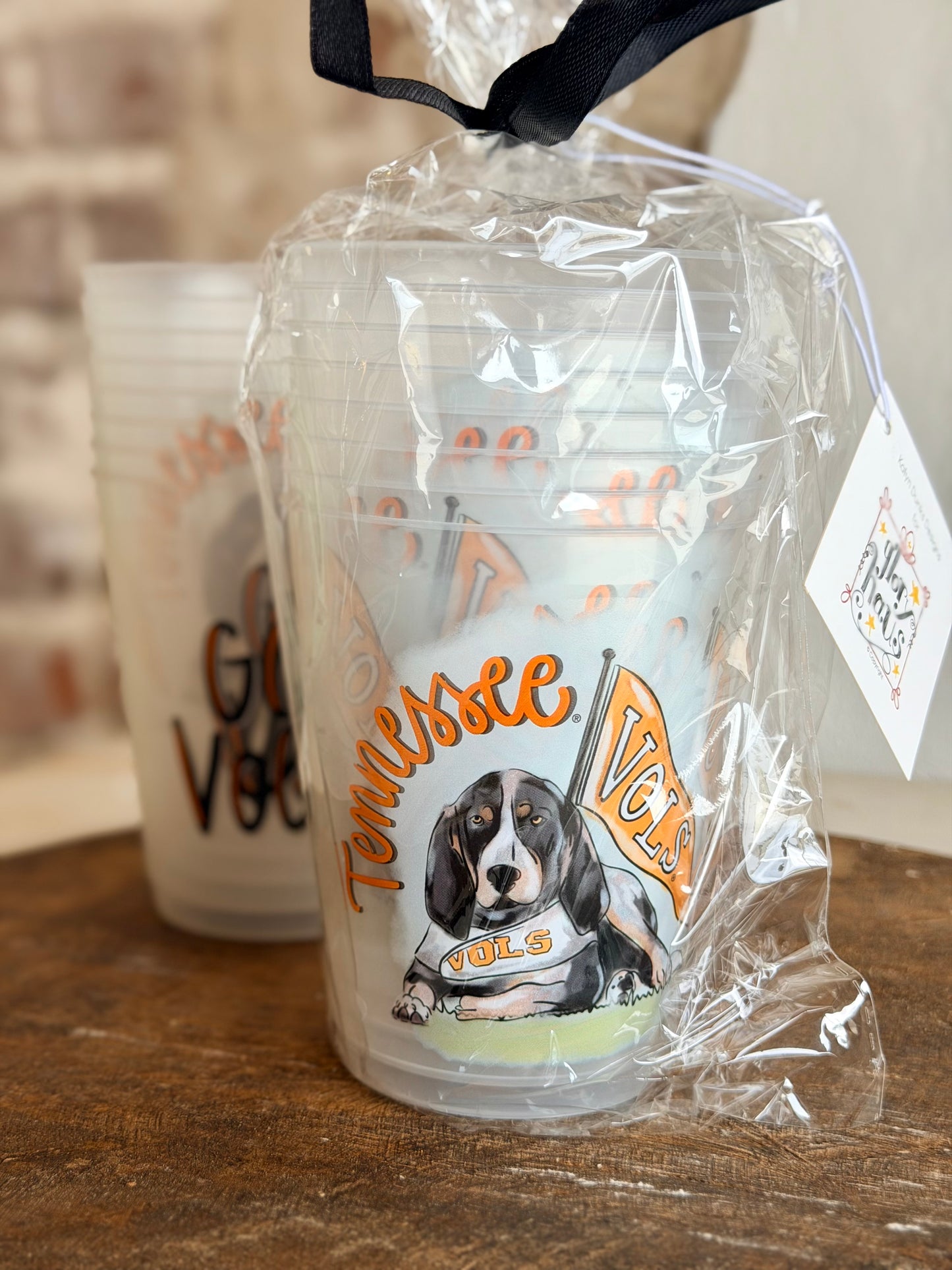 Tennessee Mascot Frosted Cups Set - Set of 8