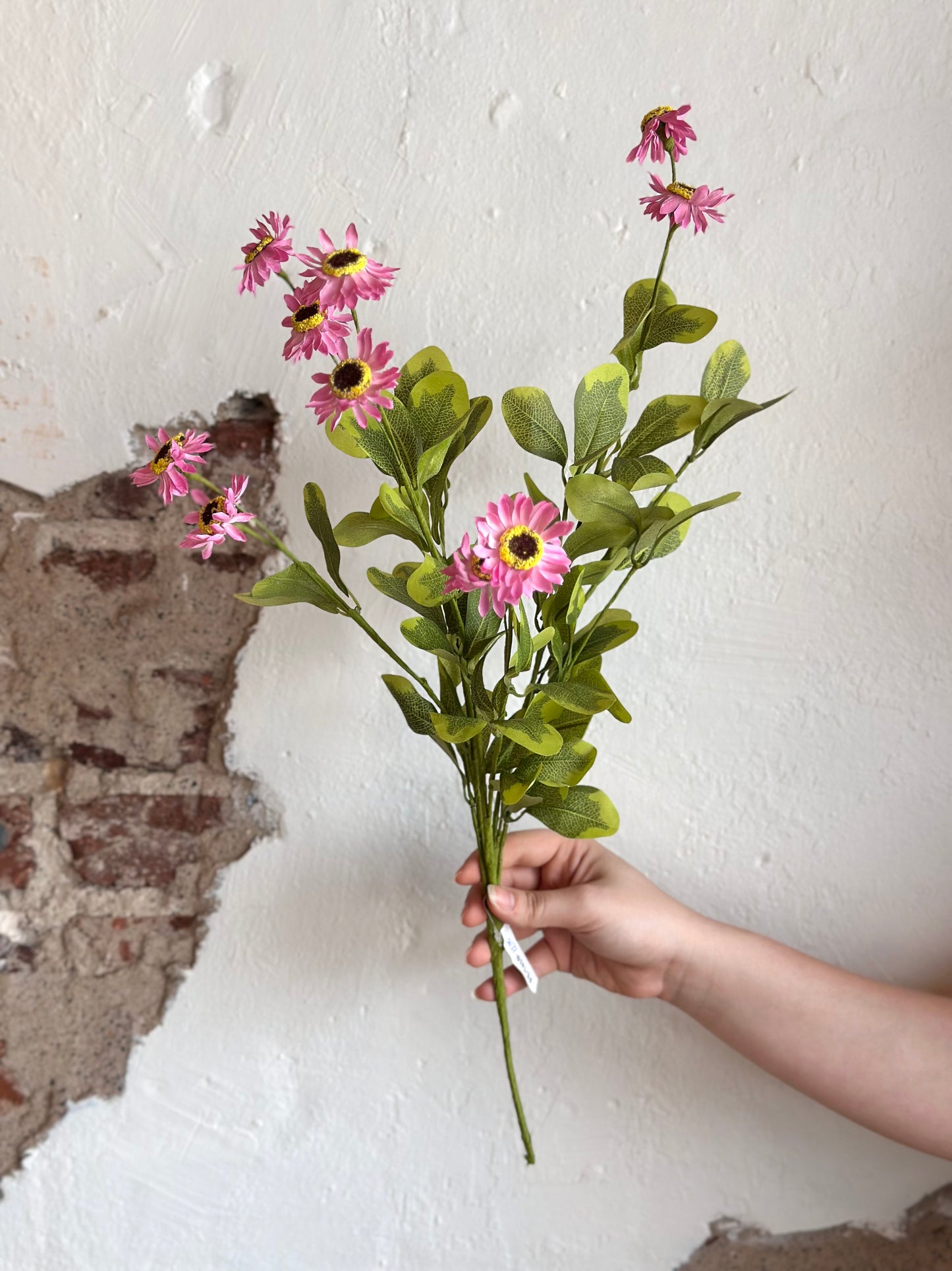 24” Daisy Bush