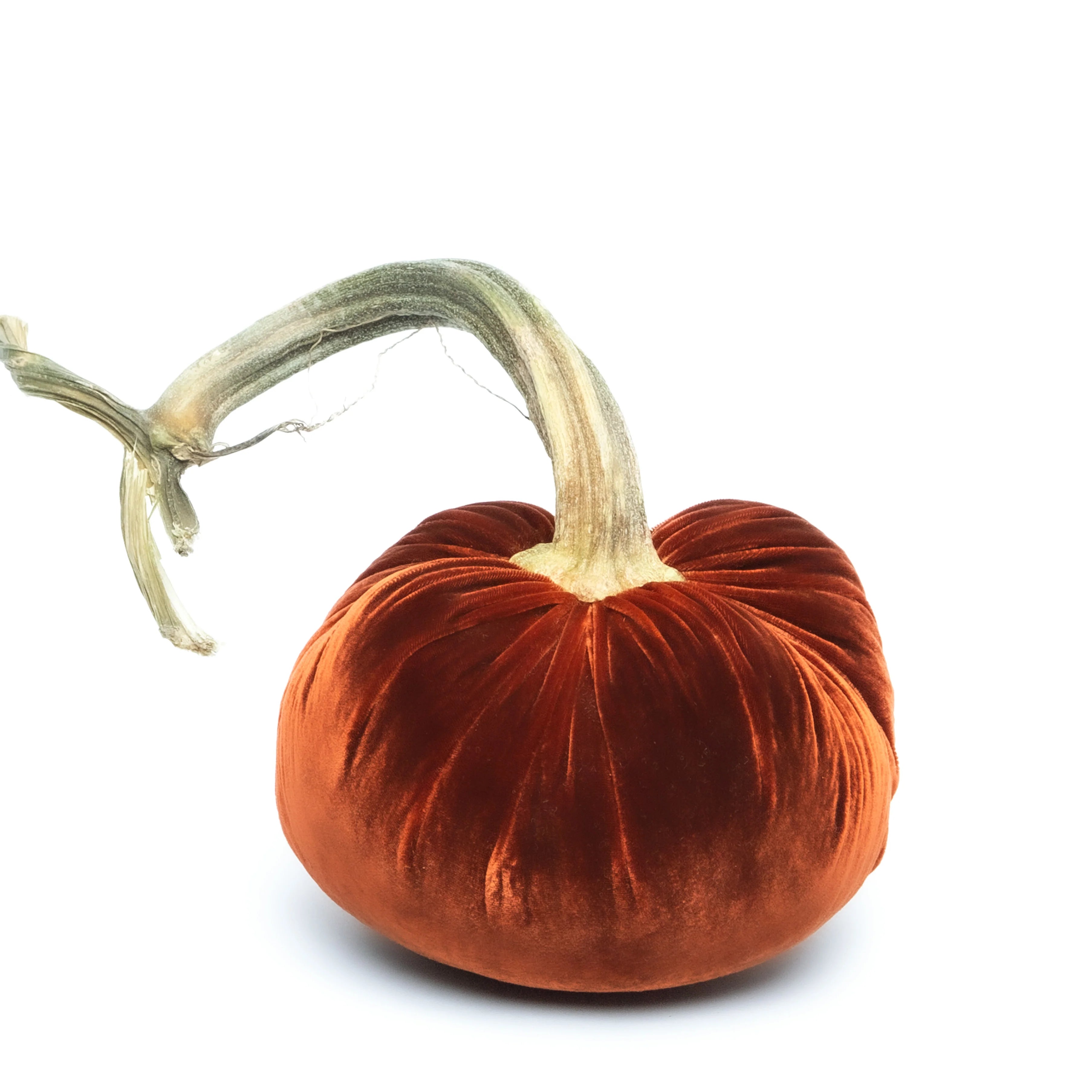 5” Silk Velvet Hot Skwash Pumpkin