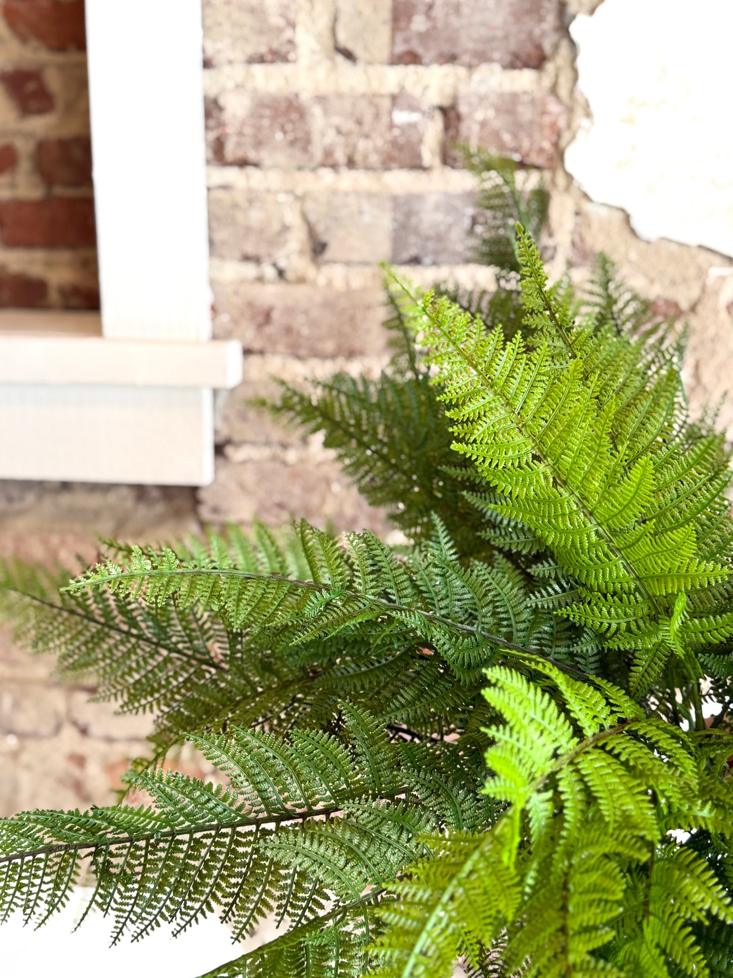 34" L x 29" D, UV Green Leather Fern Bush