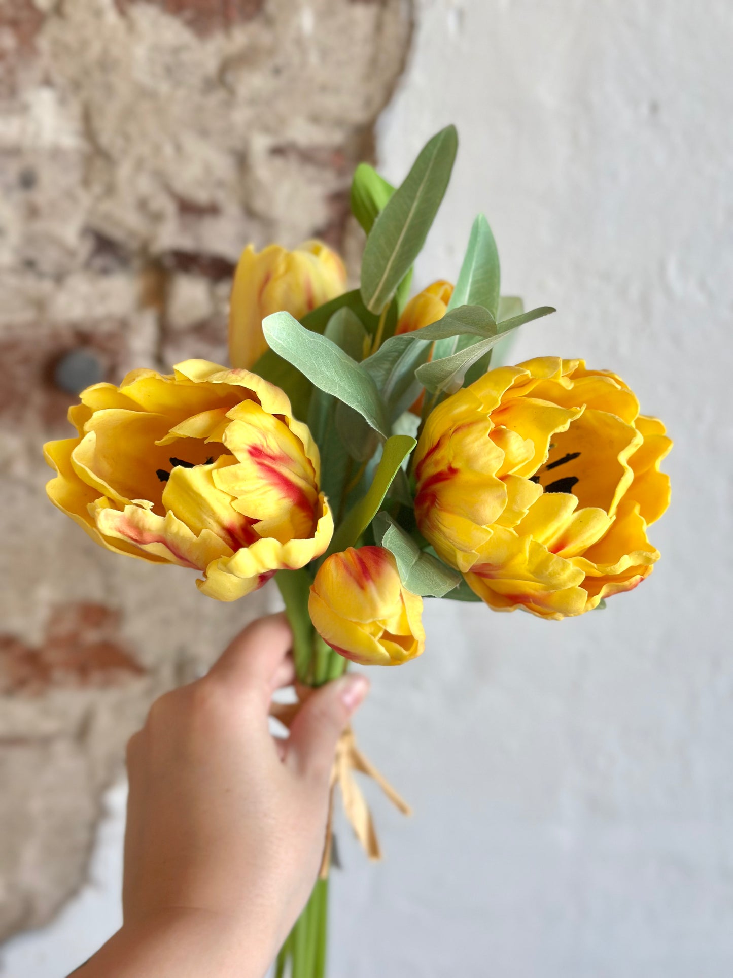 Yellow Parrot Tulip Bundle