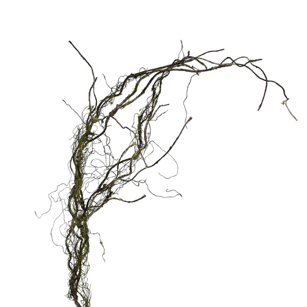 42” Twig Vine