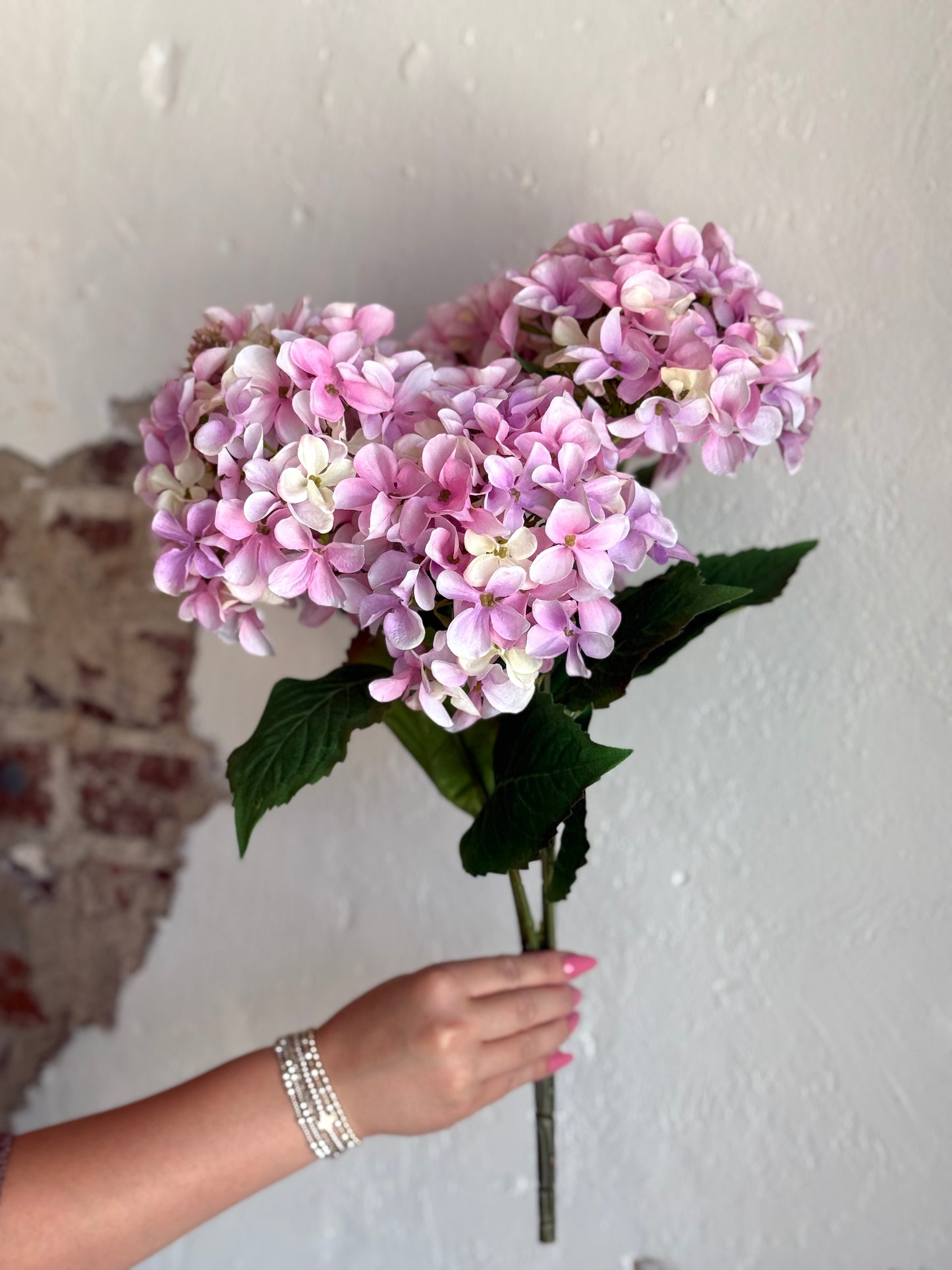 Hydrangea Bush x5, Pink