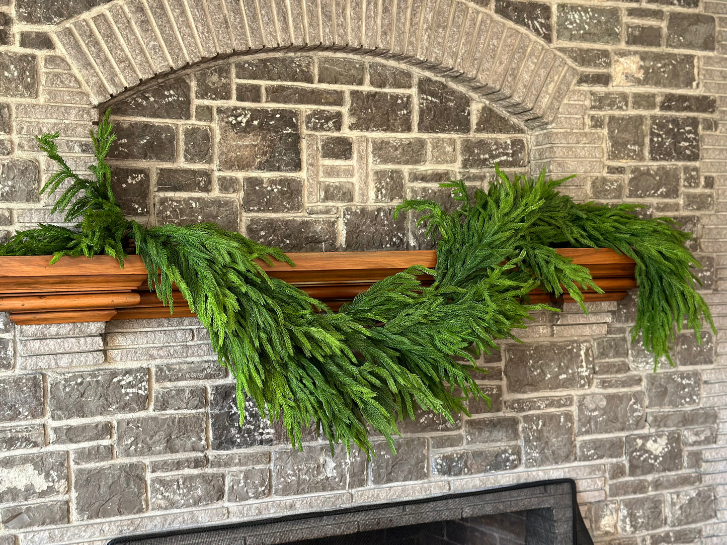 6' Natural Touch Norfolk Pine Garland