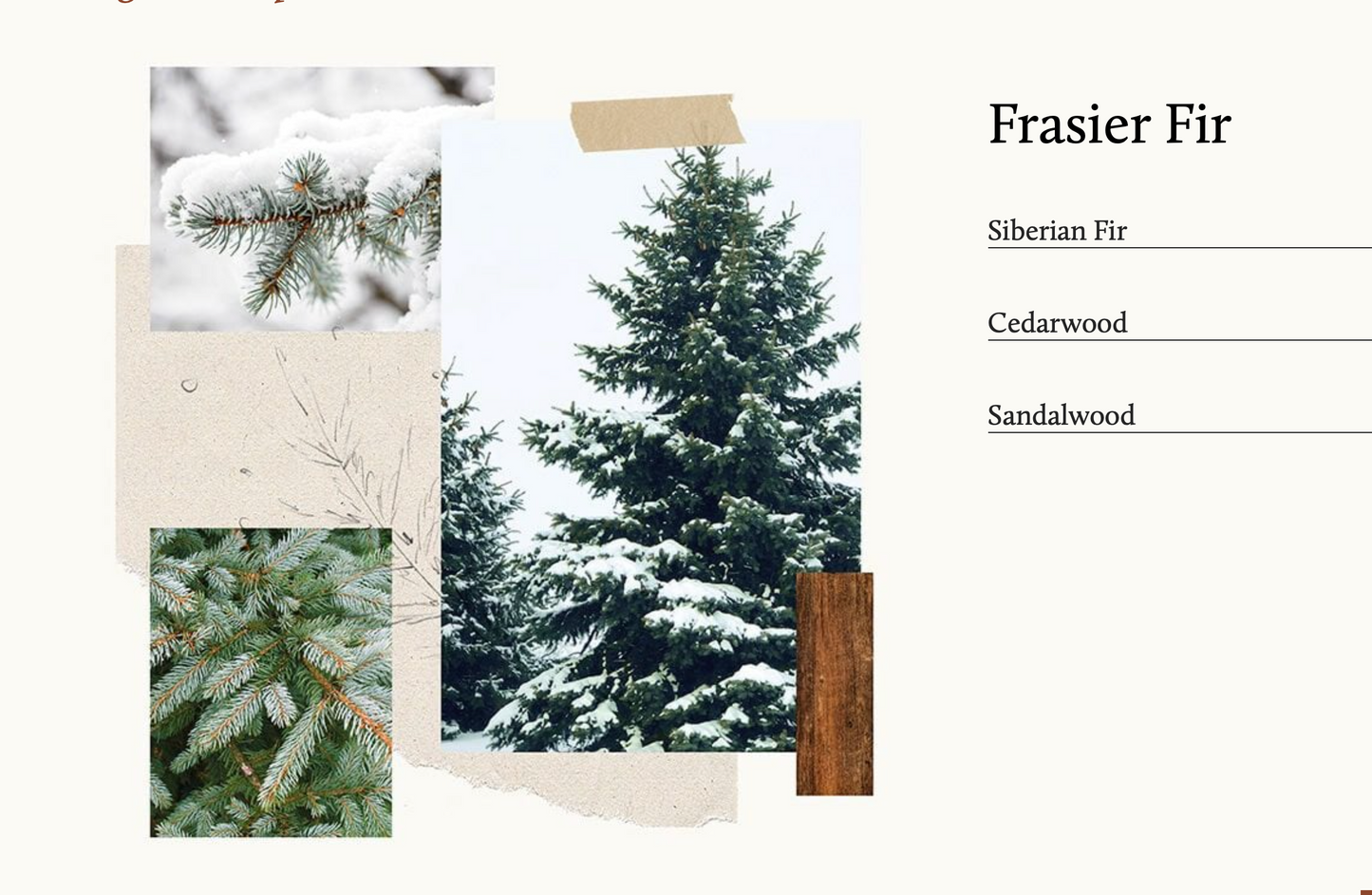 Thymes Frasier Fir Travel Tin Candle