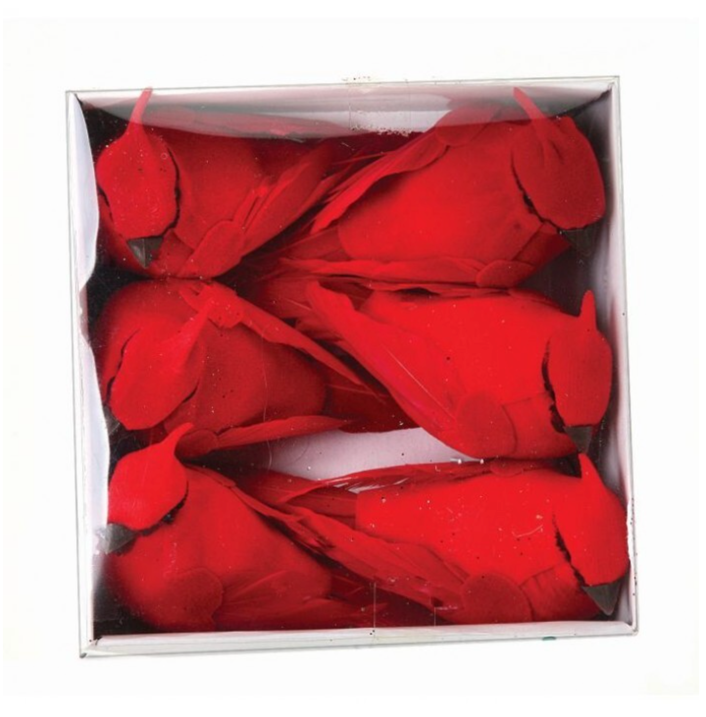 4" Mini Cardinals in Box, Set of 6