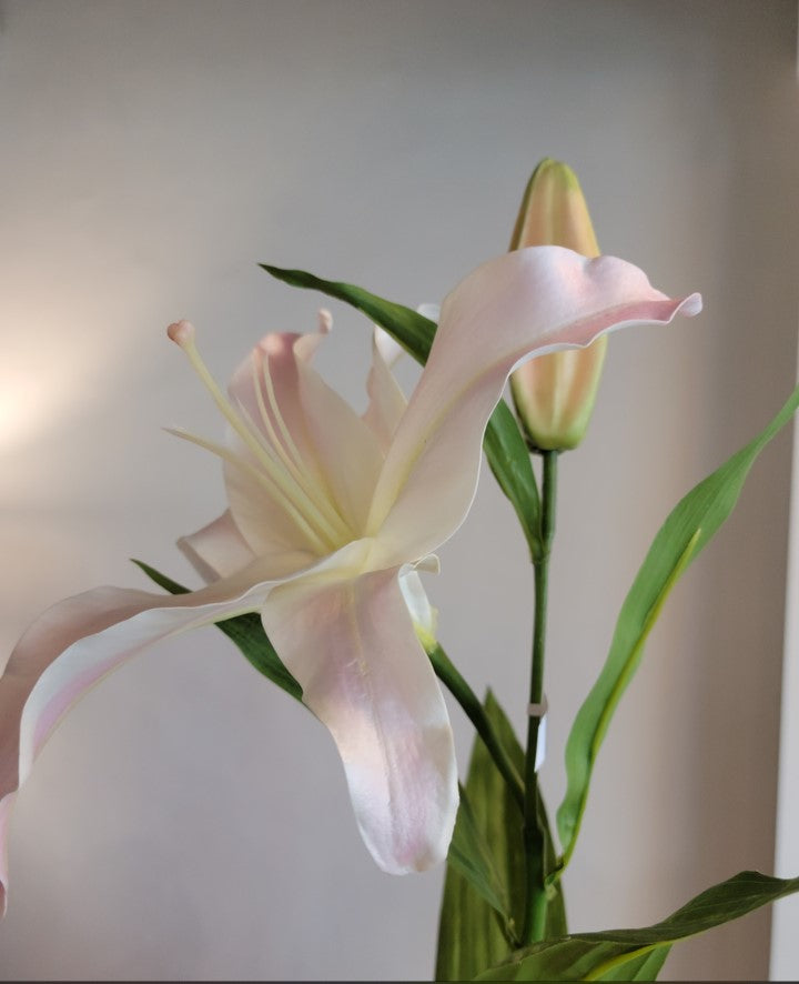 Soft pink lily stem 32"