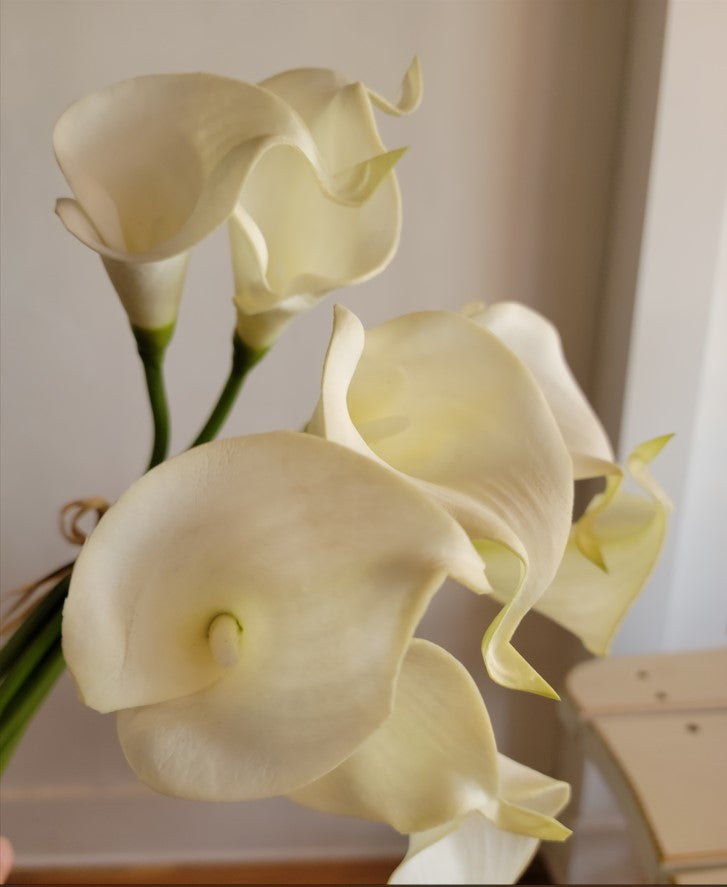 MINI CALLA LILY BUNDLE, CREAM
