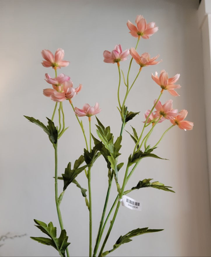 PEACH- MINI COSMOS SPRAY, 27”