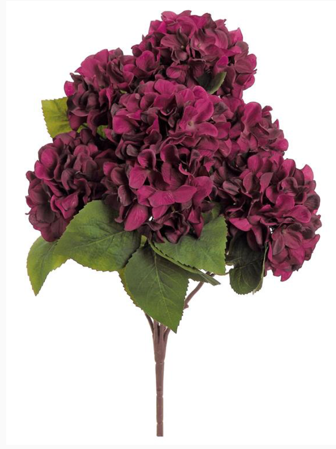 21" Harvest Hydrangea Bush- Burgundy