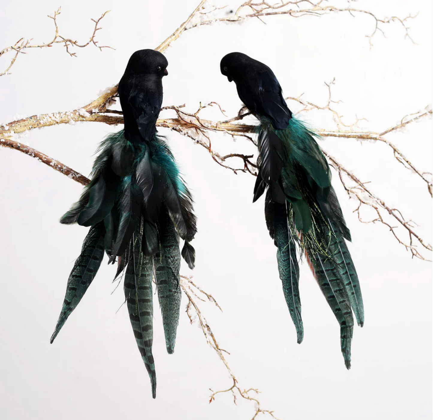 21.5" Feather Bird Black-Green