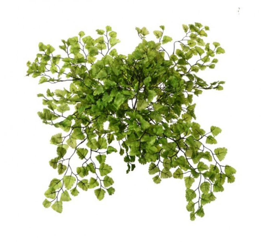 17" Maiden Hair Fern
