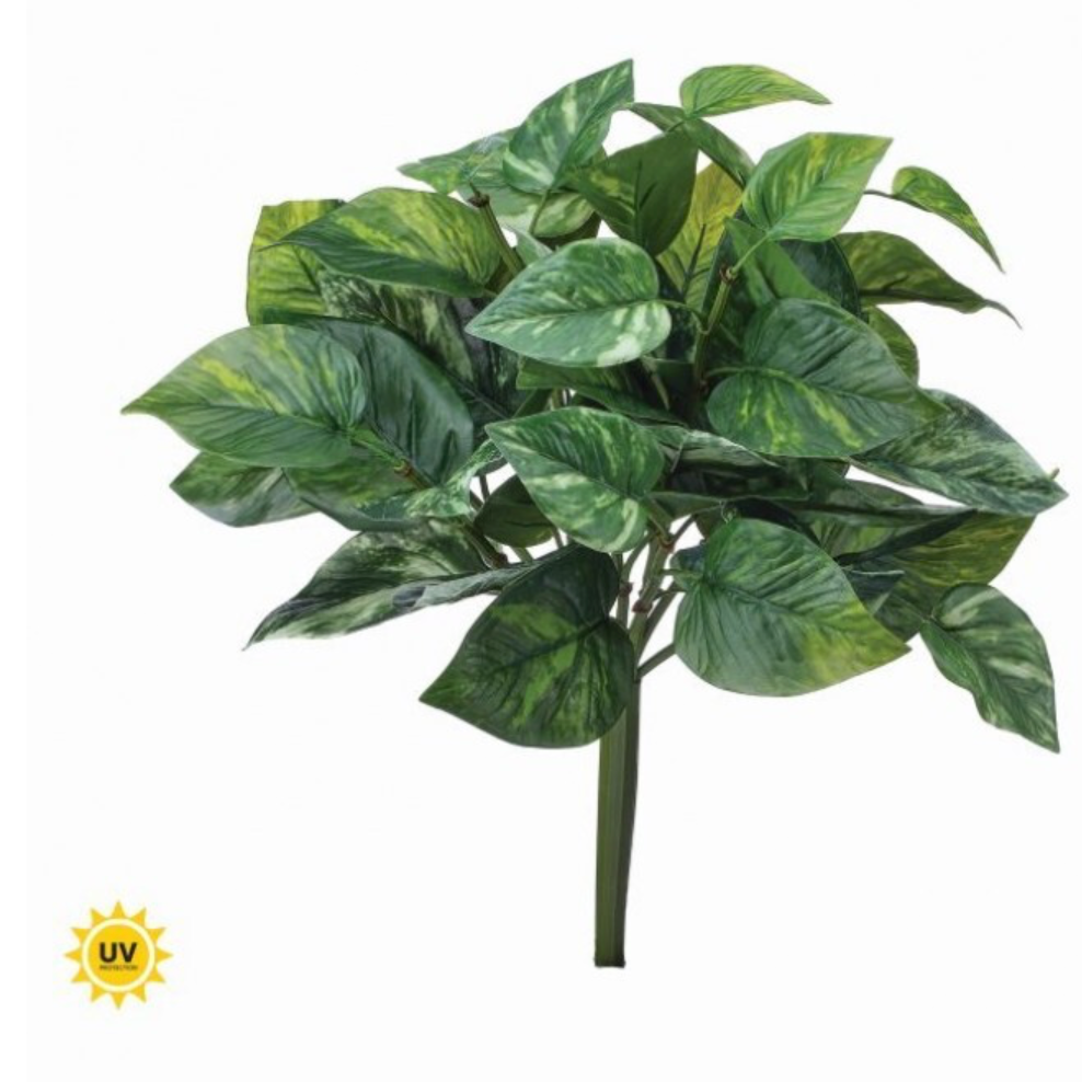 16" UV-Rated Pothos Plant