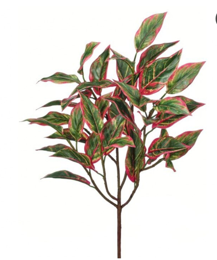 21" UV-Rated Cordyline Stem