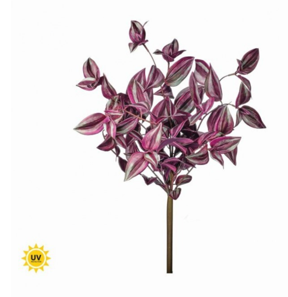 19" UV Tradescanthia Bush