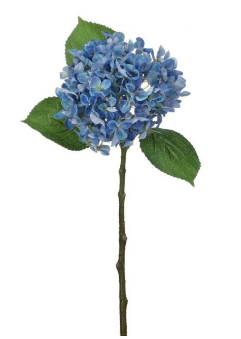 19" New England Hydrangea Stem