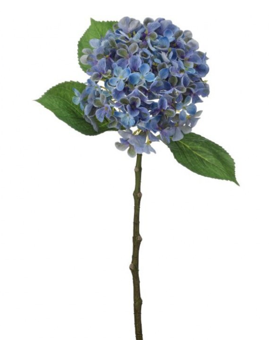 19" New England Hydrangea Stem