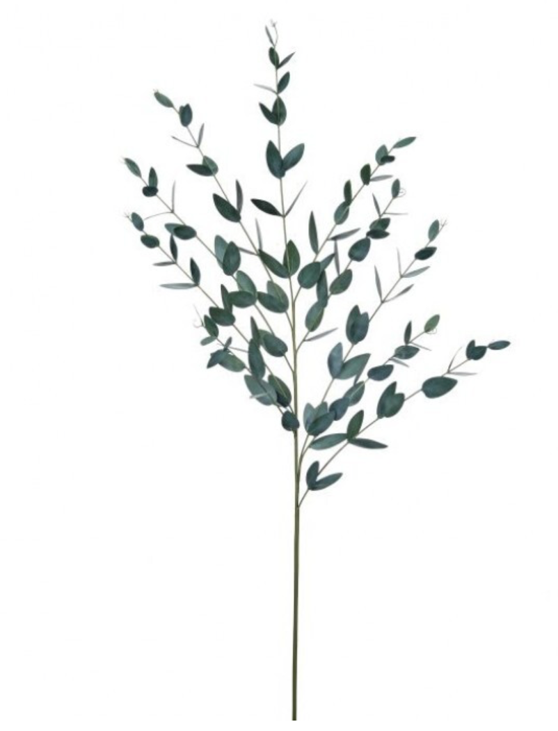 47" Gunni Eucalyptus Stem