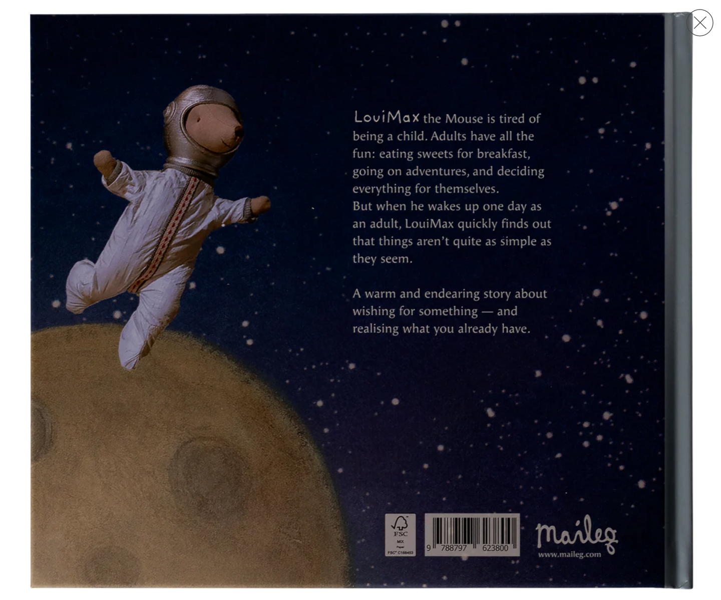 Maileg Louimax Book