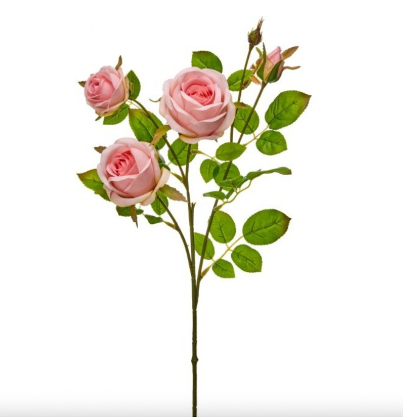 25" ROSE SPRAY