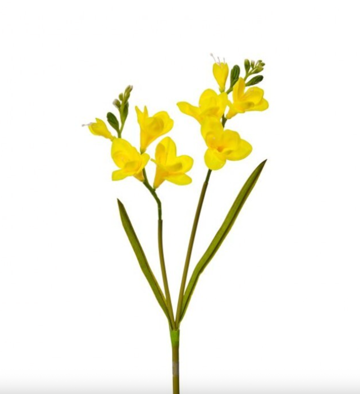 23" FREESIA SPRAY