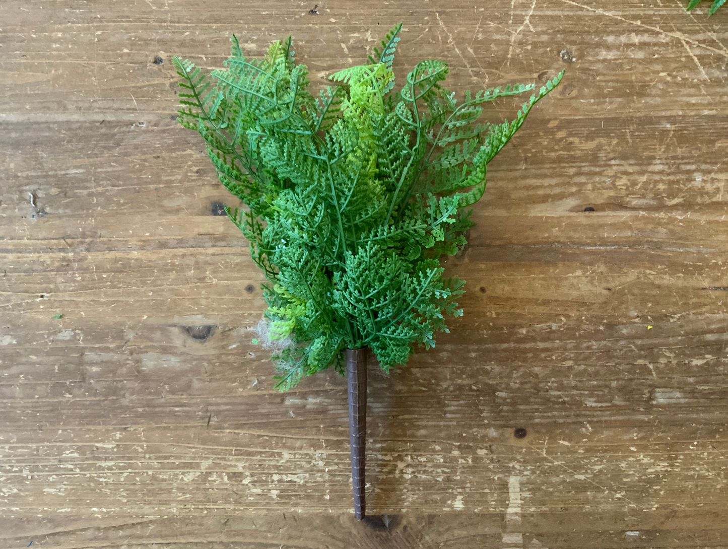 12" Small Touch Fern