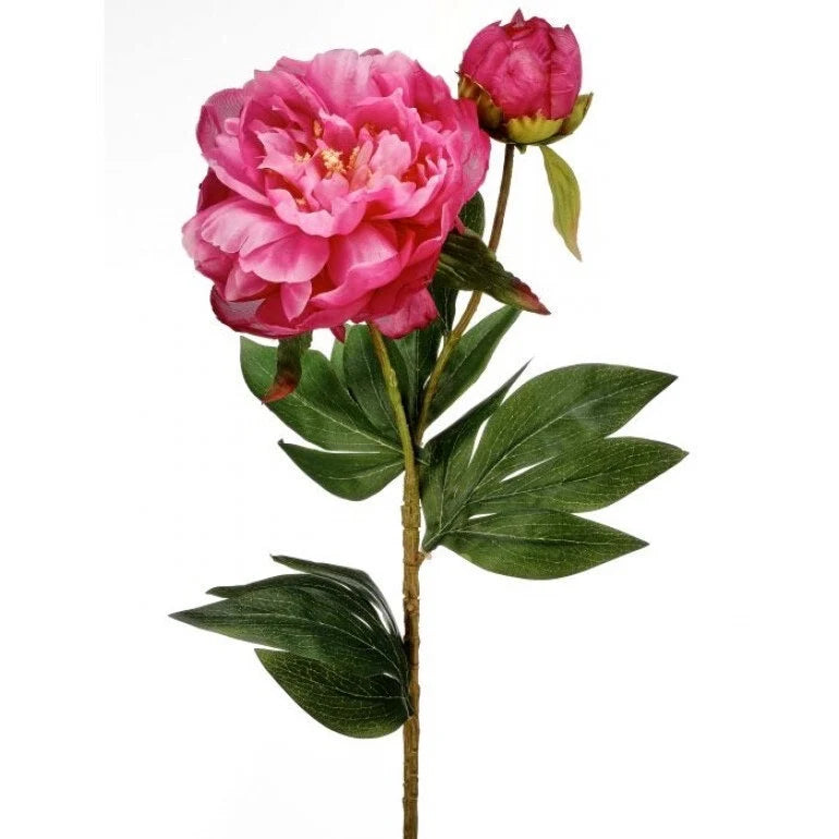 26" Garden Peony & Bud- Fuschia