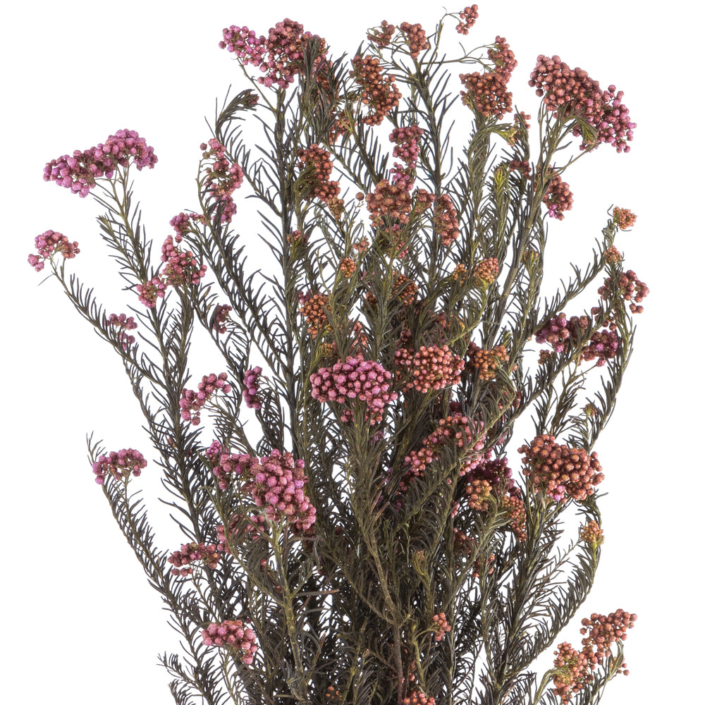 16" Purple Orchid Rice Flower