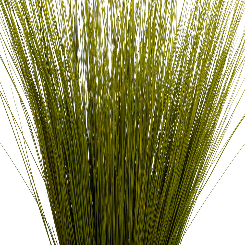 35-40" Basil Bright Grass, 8 oz Bundle, Dried
