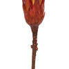 8-12" Red (Natural) Repens - Natural Stem