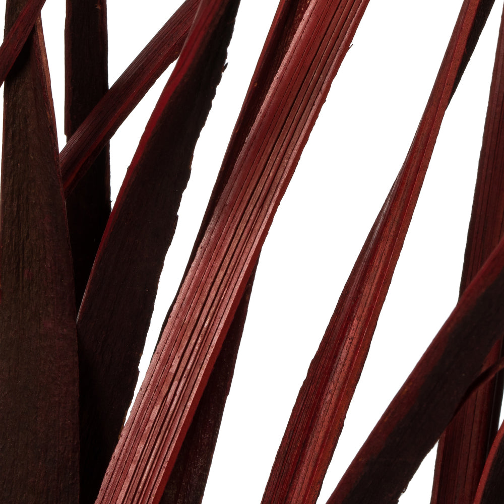 28" Red Splinter Grass, 11 oz Bundle, Dried